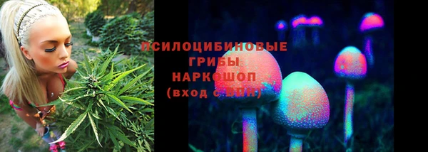 стафф Бронницы