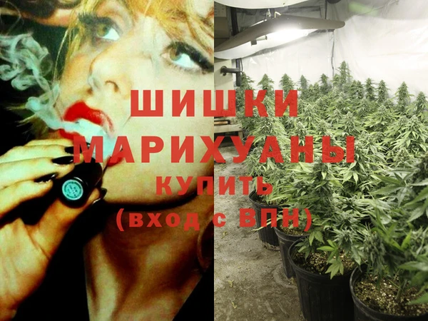 стафф Бронницы